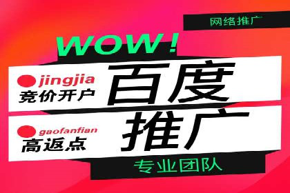 百度本地推广案例：助力企业抢占区域市场